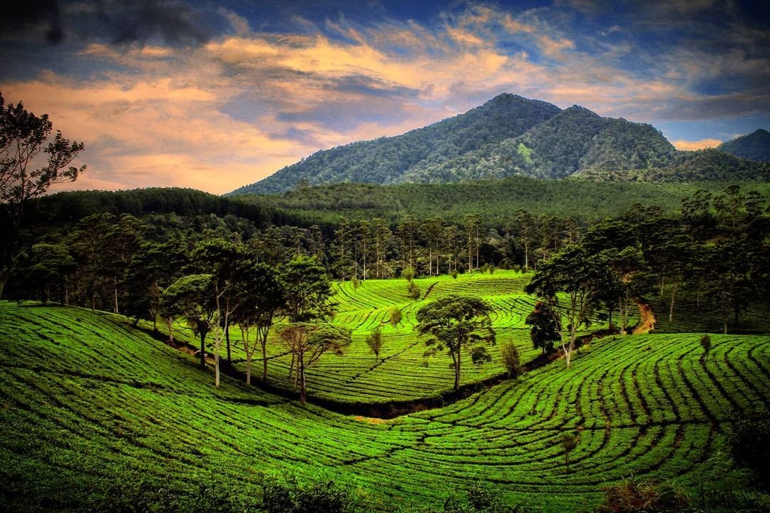 10 Wisata Alam Bandung Buat Healing dan Segarkan Pikiran