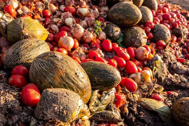 Alasan Buah Gampang Busuk dan Cara Penyimpanannya