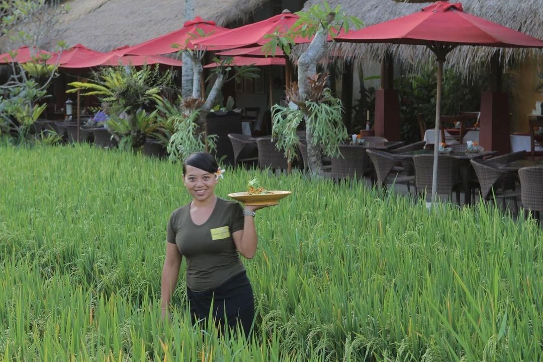 10 Cafe di Ubud View Sawah yang Bikin Kamu Lupa Sama Masalah Hidup