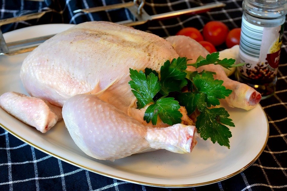 Ayam Kampung dan Ayam Negeri. Apa Bedanya?