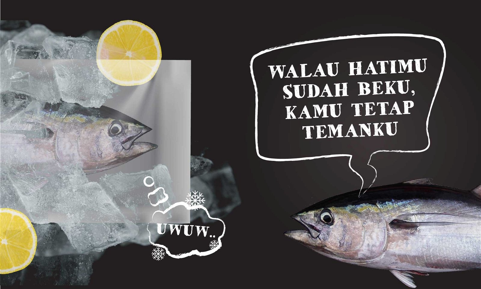 Memilih Ikan Segar Atau Ikan Beku, Mana yang Lebih Baik