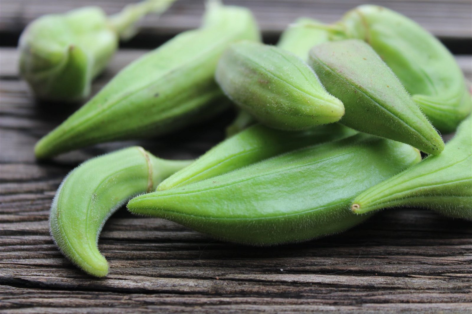 Cara Mengolah Okra Agar Lendirnya Hilang