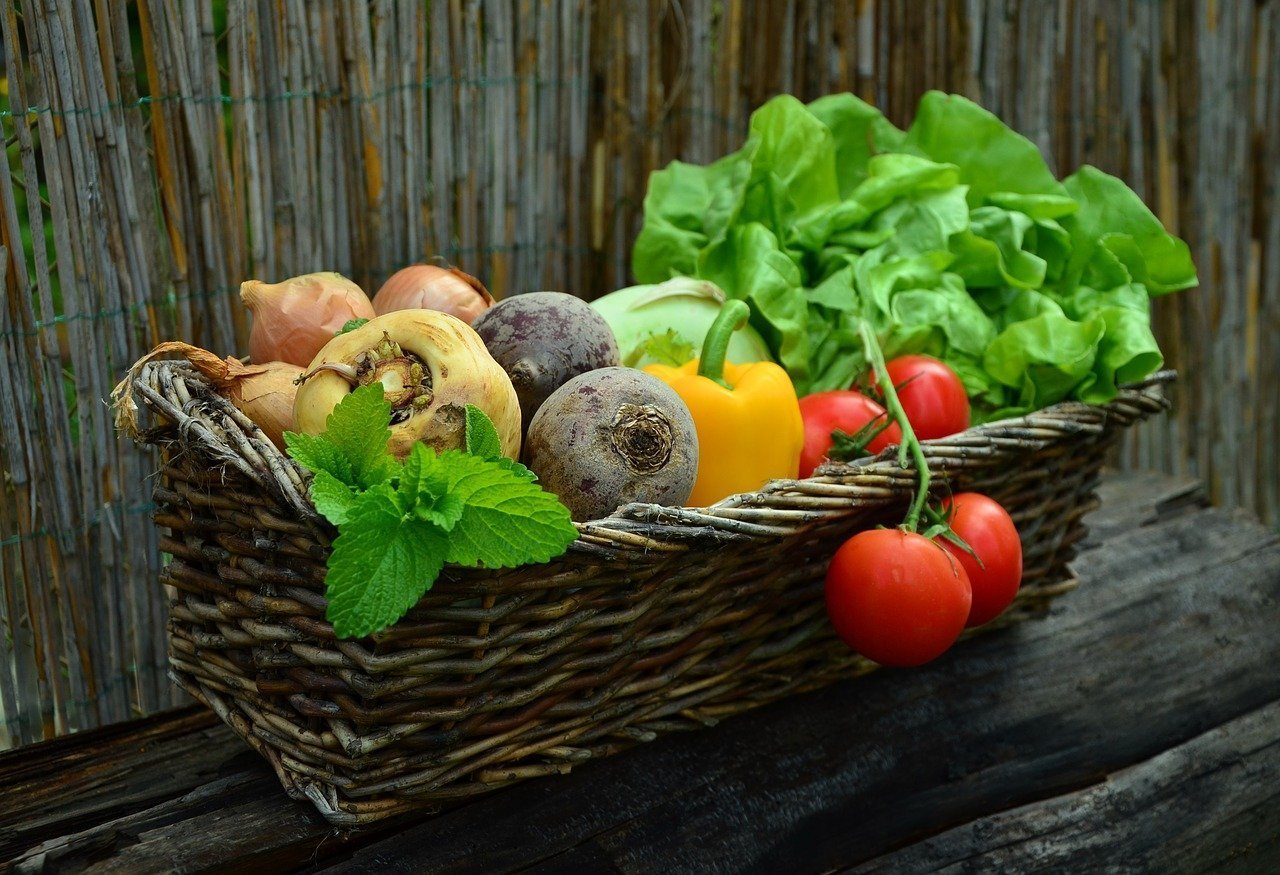 Sayur Rendah Karbohidrat untuk Program Dietmu